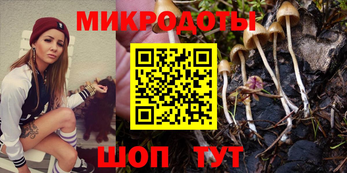 Галлюциногенные грибы мухоморы  купить закладку  Вичуга  Вход с VPN 