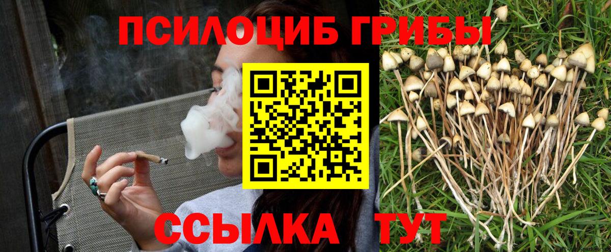 Псилоцибиновые грибы мухоморы Вичуга